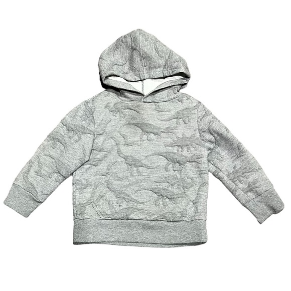 Cotton On Other - Cotton On Kids Dinosaur Hoodie Boys Toddler Jacket 3T